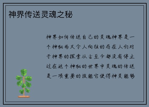 神界传送灵魂之秘 神界传送灵魂之秘